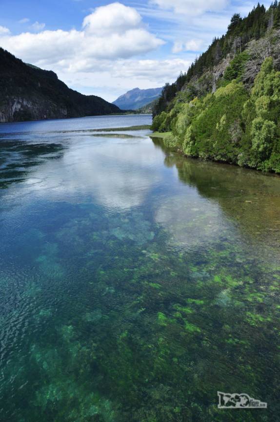 Belíssimo rio de águas geladas e transparentes no Parque Nacional Los Alerces, ao norte de Trevelin, na patagônia argentina